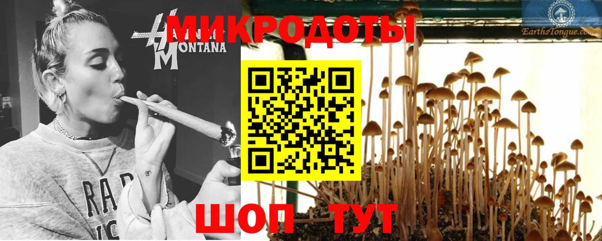 Псилоцибиновые грибы мухоморы  Вход с VPN  Псилоцибиновые грибы Psilocybe  Арсеньев 