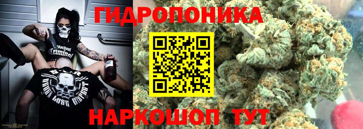 Бошки марихуана Bruce Banner  Канабис план  Канабис план  Вход с VPN  Арсеньев 